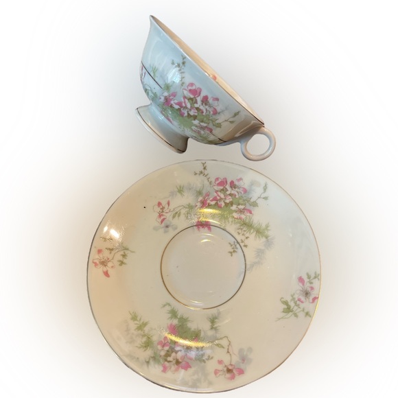 Vintage Apple Blossom - Footed Cup & Saucer Set by Haviland (New York) - Picture 3 of 5